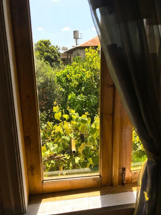 Hotel Dea à Zugdidi Extérieur photo